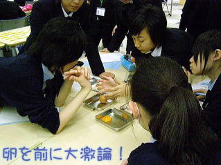 2012.4.jpg