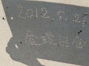 2012.5.1.JPG