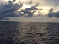 2014-07-31 04.57.46.jpg