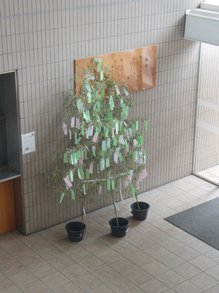 20150707.jpg