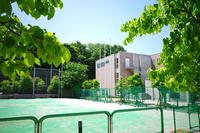 20190522 (3).JPG