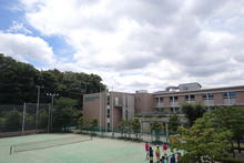 20190719 (1).JPG