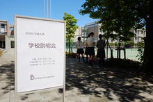 20190616 (2).JPG