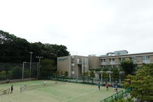 20190904 (12).JPG