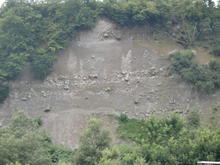 CIMG5037.JPG