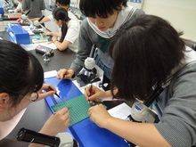 DSC01129.JPG