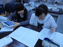 DSC02173.JPG