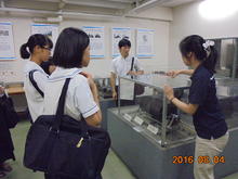DSC02193.JPG