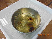 DSC02210.JPG