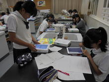 DSC02248.JPG