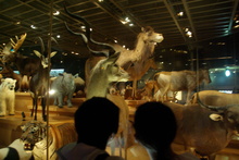 IMGP3093.JPG