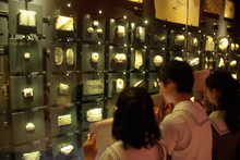 IMGP3102.JPG