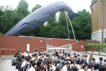 IMGP3133.JPG