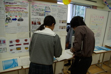 IMGP4225.JPG