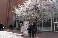 IMGP8277.JPG