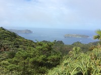 IMG_0339.JPG