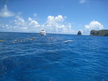 IMG_0350.JPG