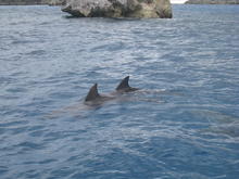 IMG_0359.JPG