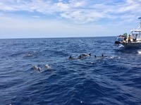 IMG_0568.JPG