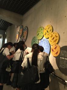 IMG_1095.JPG