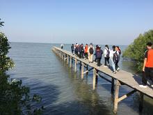 IMG_2964.JPG
