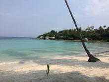 IMG_3388.JPG