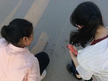 IMG_5673_R.JPG