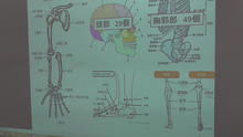 S3490026.JPG