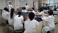 tku01.jpg